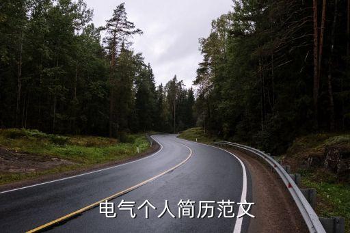 電氣工程及其自動化的特長