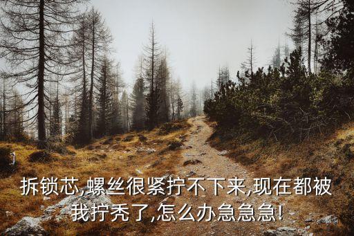 拆鎖芯,螺絲很緊擰不下來,現(xiàn)在都被我擰禿了,怎么辦急急急!