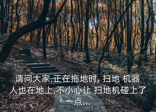 請(qǐng)問大家,正在拖地時(shí), 掃地 機(jī)器人也在地上,不小心讓 掃地機(jī)碰上了一點(diǎn)...