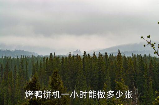 烤鴨自動(dòng)化切片設(shè)備有哪些,在家做烤鴨需要什么設(shè)備?