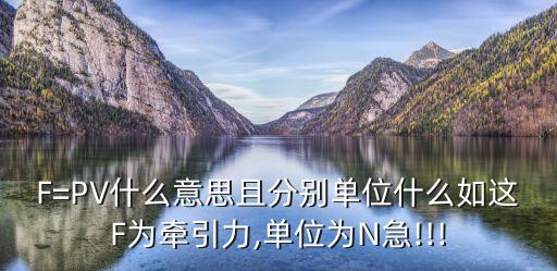 FVT,一文看懂!fvp的來歷