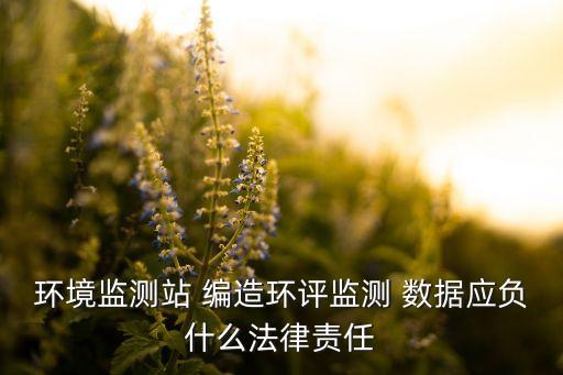 編造實驗數(shù)據(jù),畢業(yè)論文實驗數(shù)據(jù)可以編造嗎