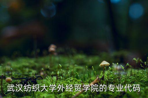 武漢紡織大學(xué)外經(jīng)貿(mào)學(xué)院的專業(yè)代碼