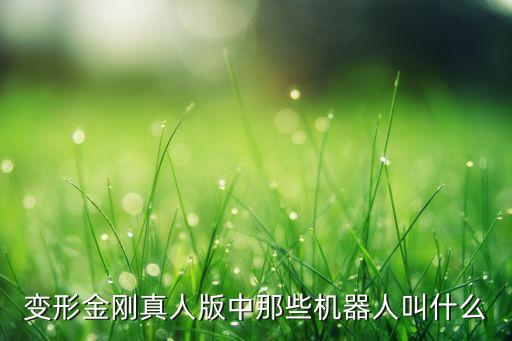 變形金剛真人版中那些機(jī)器人叫什么