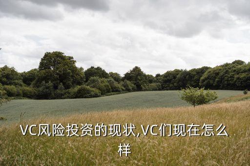 風(fēng)投數(shù)據(jù),風(fēng)投看中的數(shù)據(jù)