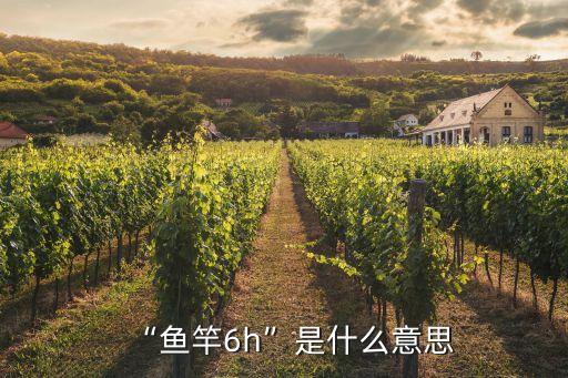 “魚竿6h”是什么意思
