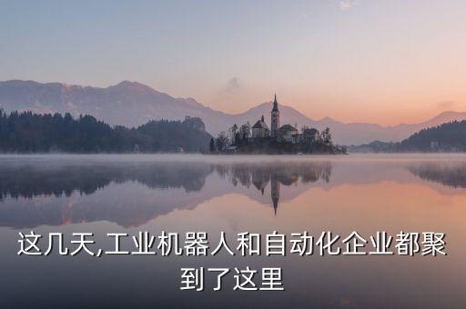 這幾天,工業(yè)機器人和自動化企業(yè)都聚到了這里