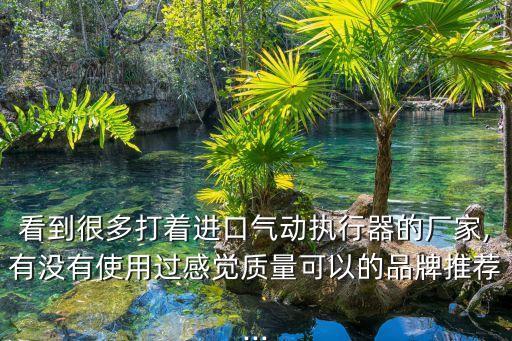 看到很多打著進(jìn)口氣動(dòng)執(zhí)行器的廠家,有沒有使用過感覺質(zhì)量可以的品牌推薦...