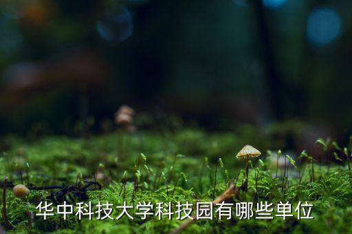 華中科技大學(xué)科技園有哪些單位