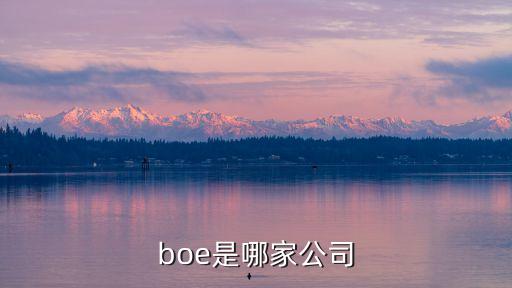 boe是哪家公司