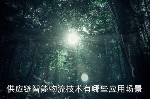 供應(yīng)鏈智能物流技術(shù)有哪些應(yīng)用場景