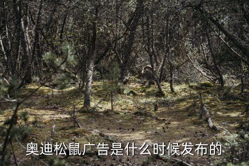 奧迪松鼠廣告是什么時候發(fā)布的
