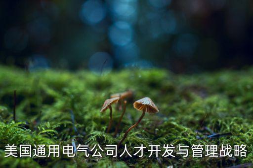 美國(guó)通用電氣公司人才開(kāi)發(fā)與管理戰(zhàn)略