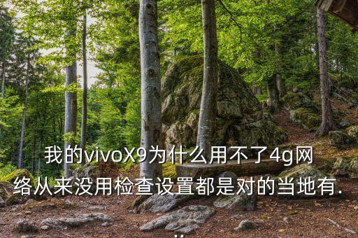 vivox9用不了數(shù)據(jù)
