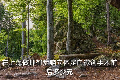 在上海做抑郁癥腦立體定向微創(chuàng)手術(shù)前后多少元