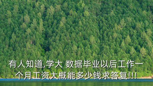 有人知道,學(xué)大 數(shù)據(jù)畢業(yè)以后工作一個月工資大概能多少錢求答復(fù)!!!