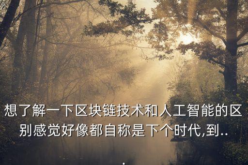 想了解一下區(qū)塊鏈技術(shù)和人工智能的區(qū)別感覺好像都自稱是下個時代,到...