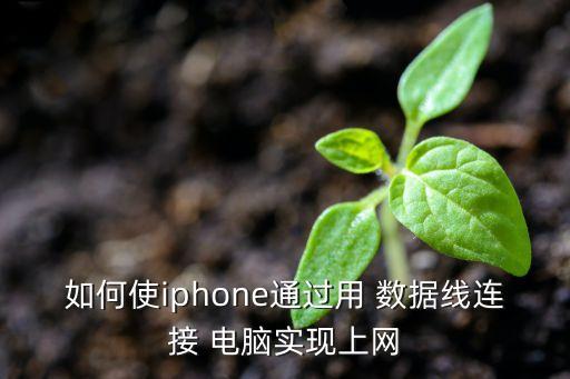 如何使iphone通過(guò)用 數(shù)據(jù)線連接 電腦實(shí)現(xiàn)上網(wǎng)