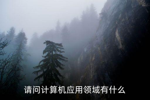 請問計算機應用領域有什么