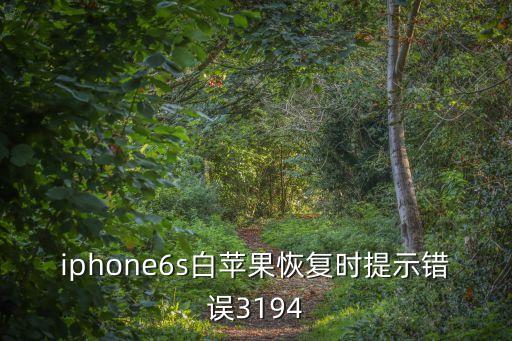iphone6s白蘋果恢復(fù)時提示錯誤3194