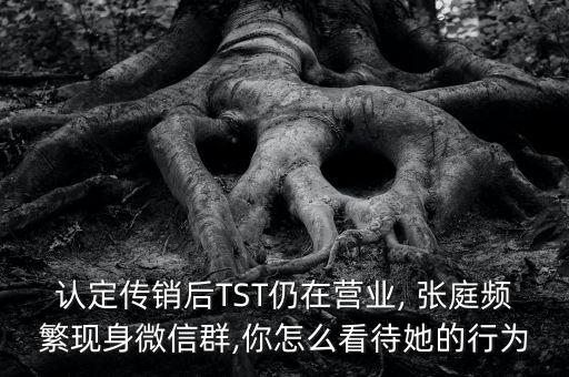 認(rèn)定傳銷后TST仍在營(yíng)業(yè), 張庭頻繁現(xiàn)身微信群,你怎么看待她的行為