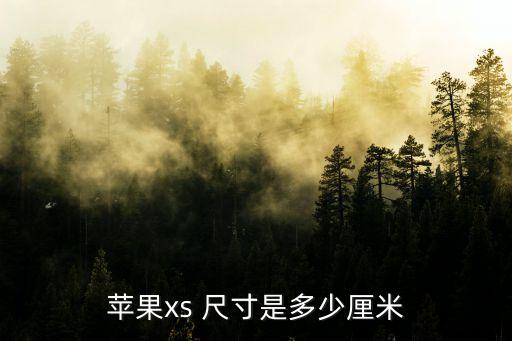 iphonexs尺寸多大