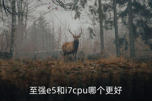 英特爾至強,英特爾至強cpu和e5系列處理器有哪些不同?