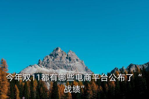 電商平臺數(shù)據(jù)統(tǒng)計(jì),第三方數(shù)據(jù)平臺能看電商數(shù)據(jù)分析嗎?