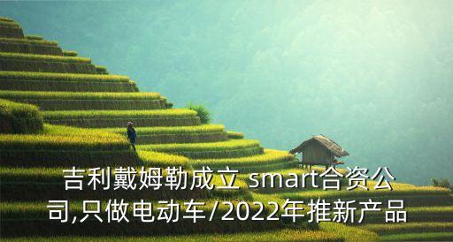 吉利smart