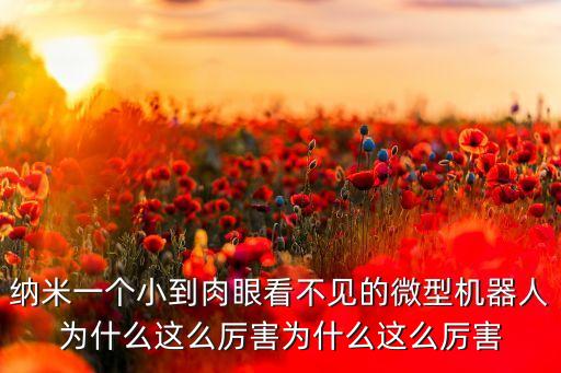 納米一個(gè)小到肉眼看不見(jiàn)的微型機(jī)器人為什么這么厲害為什么這么厲害
