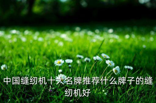 中國(guó)縫紉機(jī)十大名牌推薦什么牌子的縫紉機(jī)好