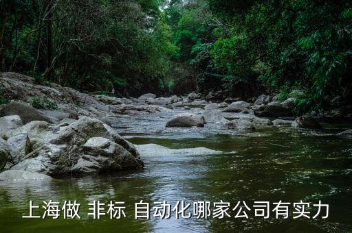 非標(biāo)自動(dòng)化設(shè)備咨詢