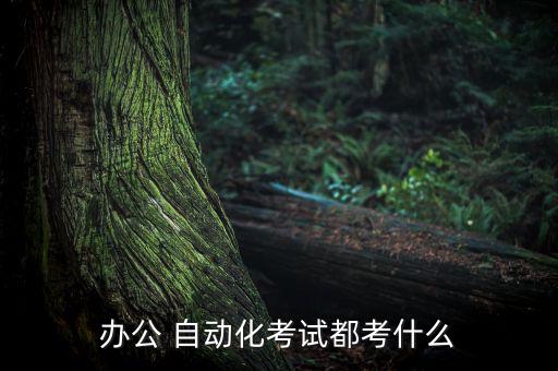 辦公室自學自動化專業(yè)知識,自學自動化專業(yè)是不是很難