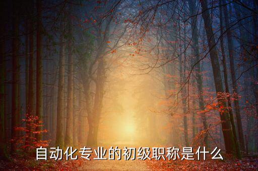 電氣自動化助理工程師分類,助理電氣工程師申請條件/資料