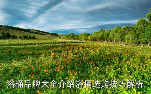 浴桶品牌大全介紹浴桶選購(gòu)技巧解析