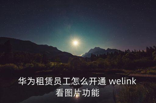 華為租賃員工怎么開通 welink看圖片功能