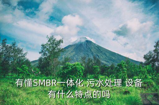 有懂SMBR一體化 污水處理 設(shè)備有什么特點(diǎn)的嗎