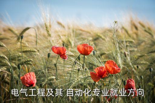 電氣工程及其 自動化專業(yè)就業(yè)方向