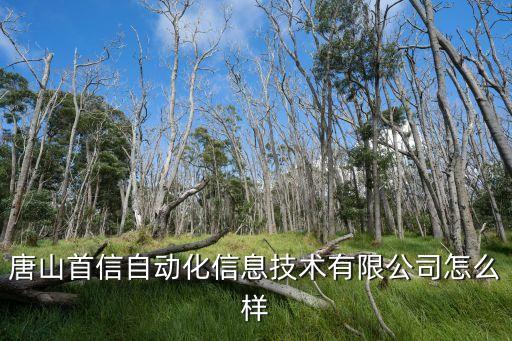 唐山首信自動(dòng)化信息技術(shù)有限公司怎么樣