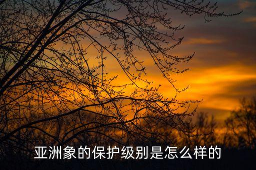 亞洲象的保護級別是怎么樣的