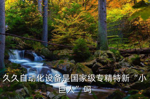 久久自動(dòng)化設(shè)備是國家級(jí)專精特新“小巨人”嗎