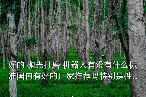 好的 拋光打磨 機(jī)器人有沒有什么標(biāo)準(zhǔn)國內(nèi)有好的廠家推薦嗎特別是性...