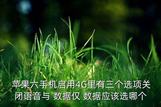  蘋果六手機啟用4G里有三個選項關(guān)閉語音與 數(shù)據(jù)僅 數(shù)據(jù)應(yīng)該選哪個
