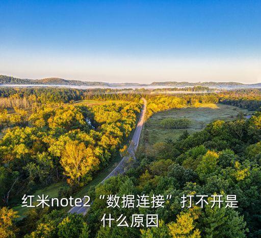 紅米note2“數(shù)據(jù)連接”打不開(kāi)是什么原因
