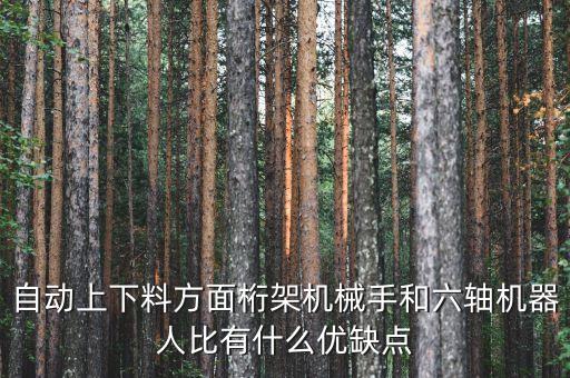 自動(dòng)上下料方面桁架機(jī)械手和六軸機(jī)器人比有什么優(yōu)缺點(diǎn)