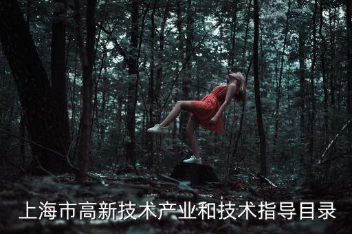  上海市高新技術產業(yè)和技術指導目錄