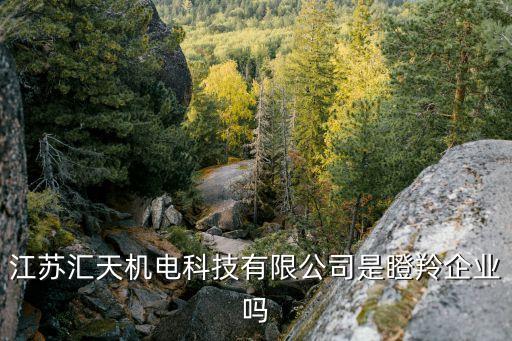 江蘇匯天機電科技有限公司是瞪羚企業(yè)嗎