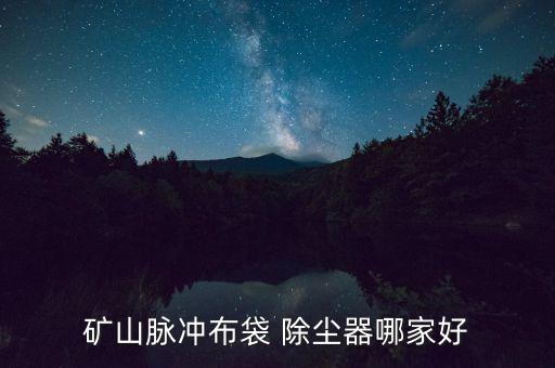 礦山脈沖布袋 除塵器哪家好
