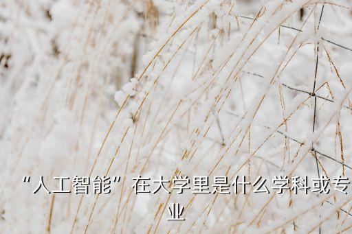 人工智能就是自動化專業(yè)嗎,自動化專業(yè)和人工智能關(guān)系大嗎?