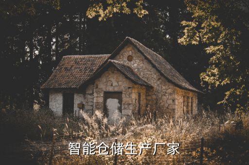 智能倉儲生產(chǎn)廠家